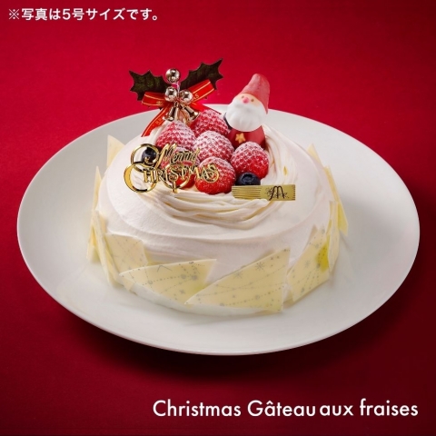 �N���X�}�X �K�g�[�t���[�Y�@�T��