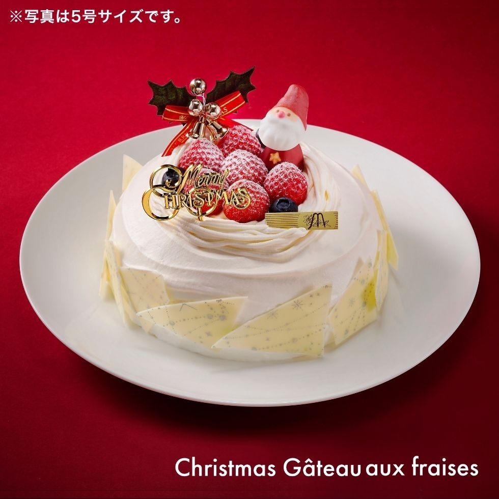 �N���X�}�X �K�g�[�t���[�Y�@�T��